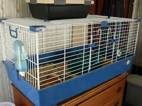 guinea pig cage with lid